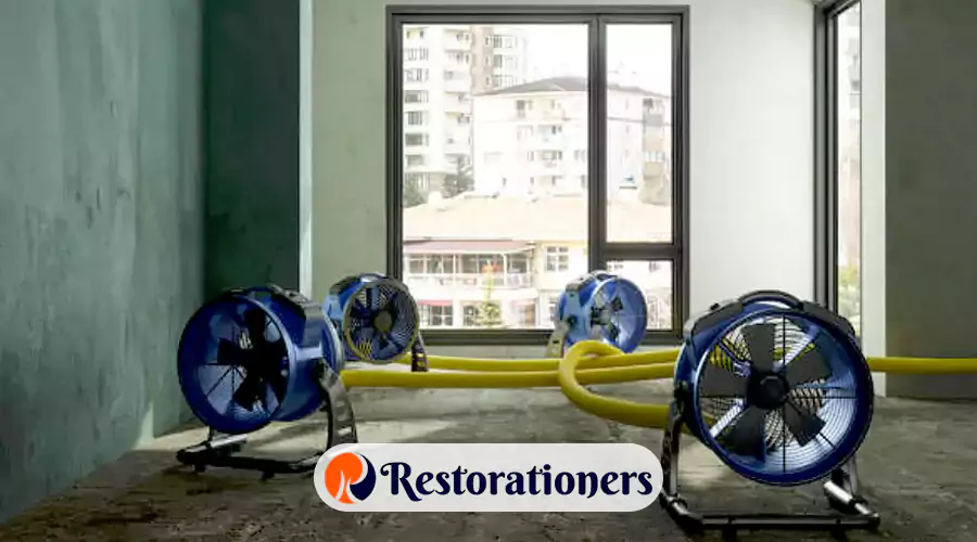 Water Mitigation: A Complete Guide for U.S. Homeowners