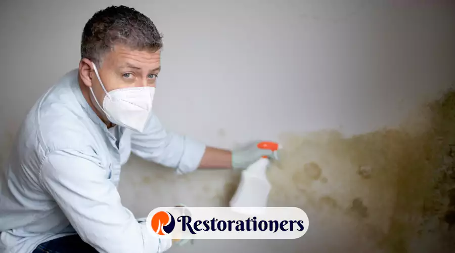 What to Spray to Prevent Mold after Water Damage