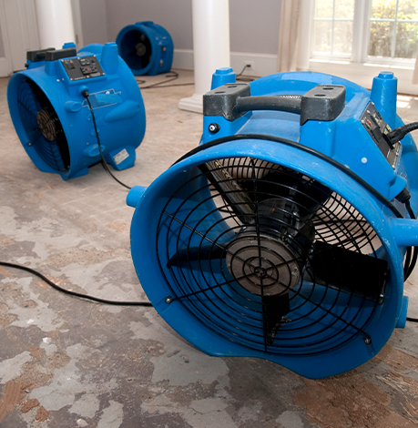 Top-Notch Dehumidification Services in San Antonio, TX