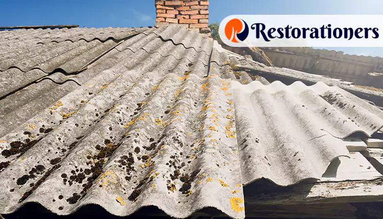 Best Asbestos Abatement in Brazoria, Texas