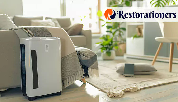 Best Dehumidification Services in Ferris, TX