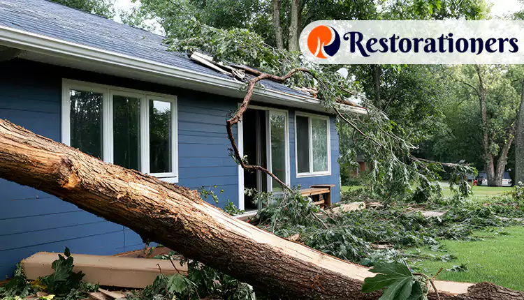 The Steps We Take for Winter Storm Damage Restoration