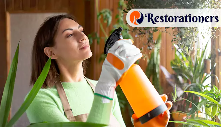 How We Tackle Odor Removal in West Columbia, TX: A Step-by-Step Process