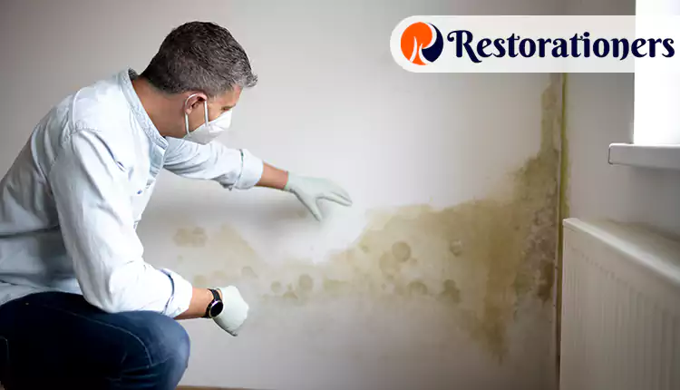 Our Flood Damage Restoration Process