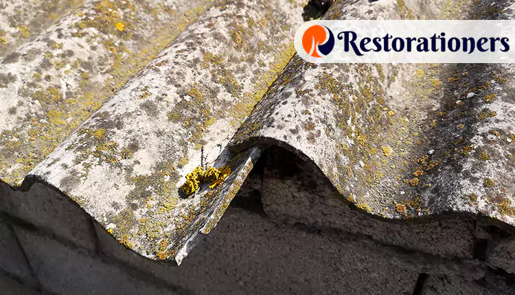 Unmatched Asbestos Abatement Services We Offer in Brazoria, TX