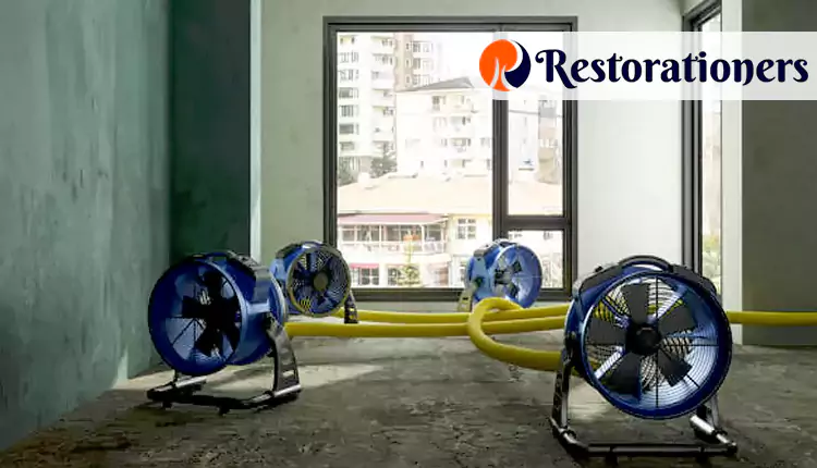 Types of Dehumidification Services We Offer in San Antonio, TX