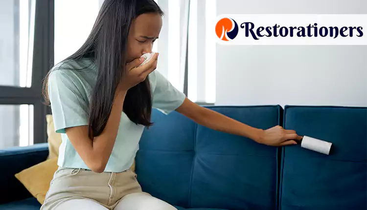 Why Should You Choose Us for Your Odor Removal Needs in West Columbia, TX?