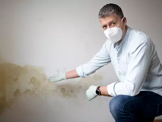Why Choose Us for Mold Remediation in San Antonio, TX?