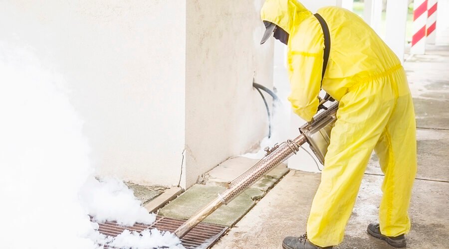 What is the Work of Mold Remediation?